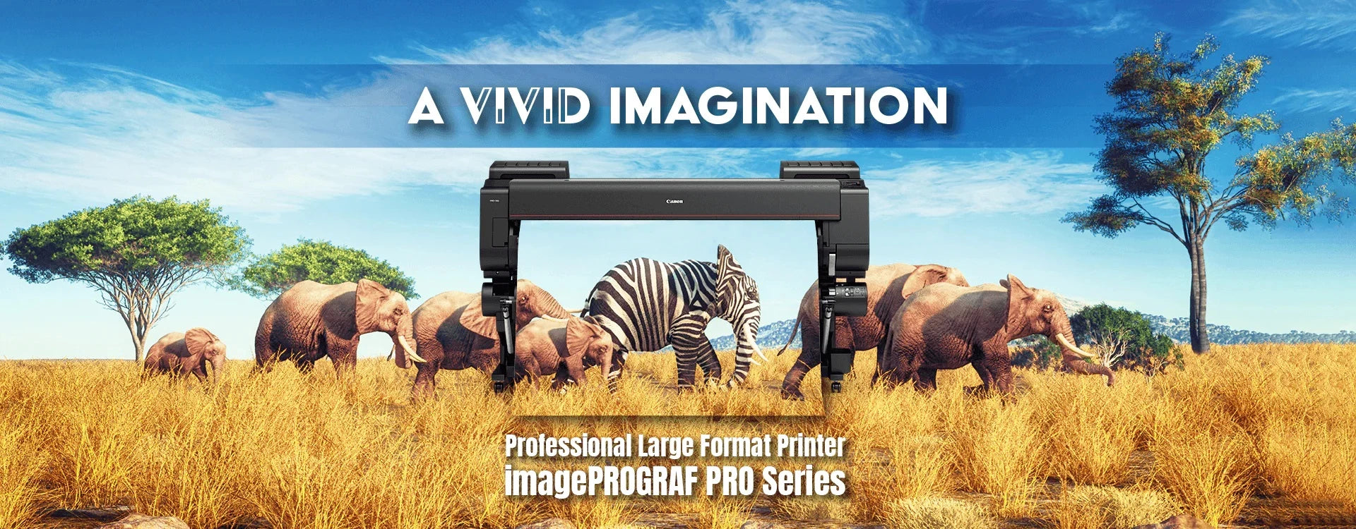 Large Format Photographic Printers